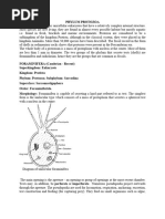 GEY 204 - Invertebrate Paleontology I