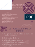 Formación de Imágenes & Via Visual