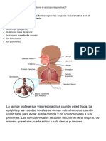 Trabajo de Fonoudiologia. Lopez Laura Pamela