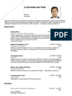 CV Andy Santiago Gonzales Del Valle Bejarano