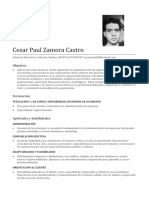 Curriculum Cesar Paul Zamora Castro