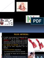 Pulso Fisio1