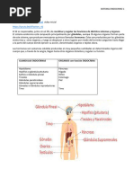 T 5.2 - Ss Endocrino