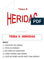 TEMA 5 Heridas