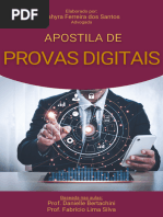 Ebook Provas Digitais - Nahyra