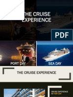 The Cruise Experience