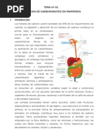 Absorcion de Carbohidratos (CUY)