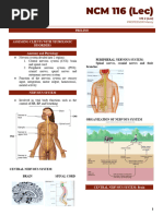 TRANS - MS 2 Prelim