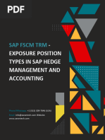 Exposure Position Types in SAP Hedge Management 1704853008