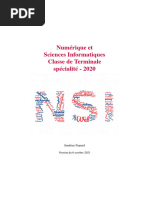 NSI Term