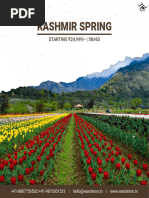 Kashmir Spring