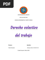 Derecho Colectivo A1 Actual