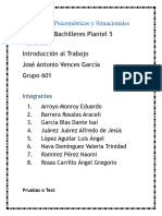 Pruebas Psicométricas y Situacionales