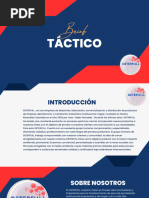 Correccion de Brief Tactico