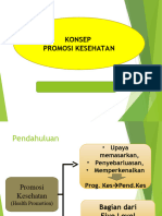 Promosi Kesehatan