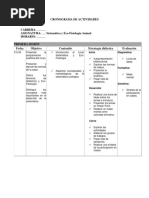 CRONOGRAMA DE ACTIVIDADES (Formato)