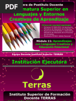 LENGUAJES TERRAS Modulo11 Educación Emocional