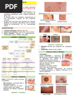 Temas Dermatología - I Unidad