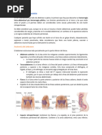 Trauma de Abdomen