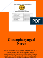 Glossopharyngeal Nerve