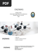 Enzimas 2024