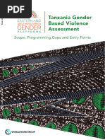 Tanzania Gender Based Violence Assessment: Scope, Programming, Gaps and Entry Points