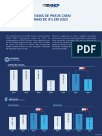 ANIP Infografico Anual 2023 v2