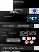 Diapositivas SNC PDF