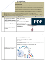 Protein Synthesis Completed Green Packet