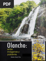 Revista Olancho, Municipios