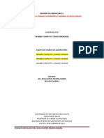 Como Elaborar Informe de Laboratorio F1