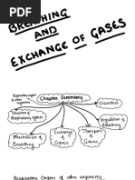 Breathing and Exchange of Gases (Hand Written Notes)