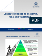 3 Anatomía, Fisiología y Patología