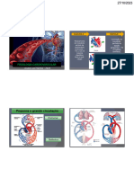 AULA06. Sistema Cardiovascular-1