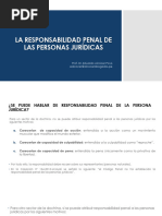 La Responsabilidad Penal de Las PPJJ-24