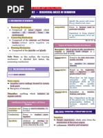 2 - B - Biological Bases by Occiano, G. (2022)