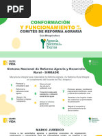 Presentacion Conformacion Comites RA