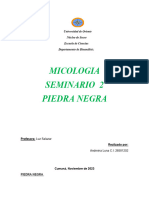 Piedra Negra Micologia-1