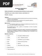 PDF Documento