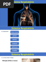 Sistema Respiratorio