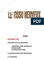 Tissu Nerveux