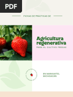 Manual Sobre Agricultura Regenerativa en Cultivo de Fresa