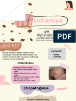 Sudamina