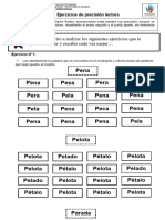 Guía de Trabajo Precisión Lectora Ignacio