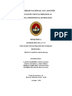 Informe Practica 8.1 - Bioquimica