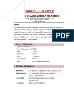 Curriculum Vitae POVES