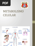 Biologia20 2014 140701154229 Phpapp01