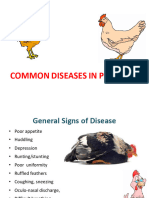 Poultry Disease