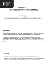 Chapter 14 Pathobiology of Periapex