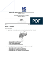 Ujian Berfokus Fasa 1 SN Tahun 5 2024